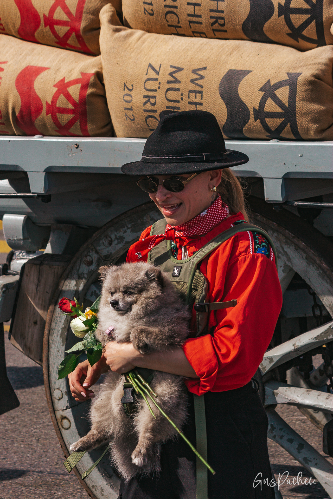 Sechseläuten — woman in traditional red costume holding grey Spitz dog and roses next to guild wagon wheel